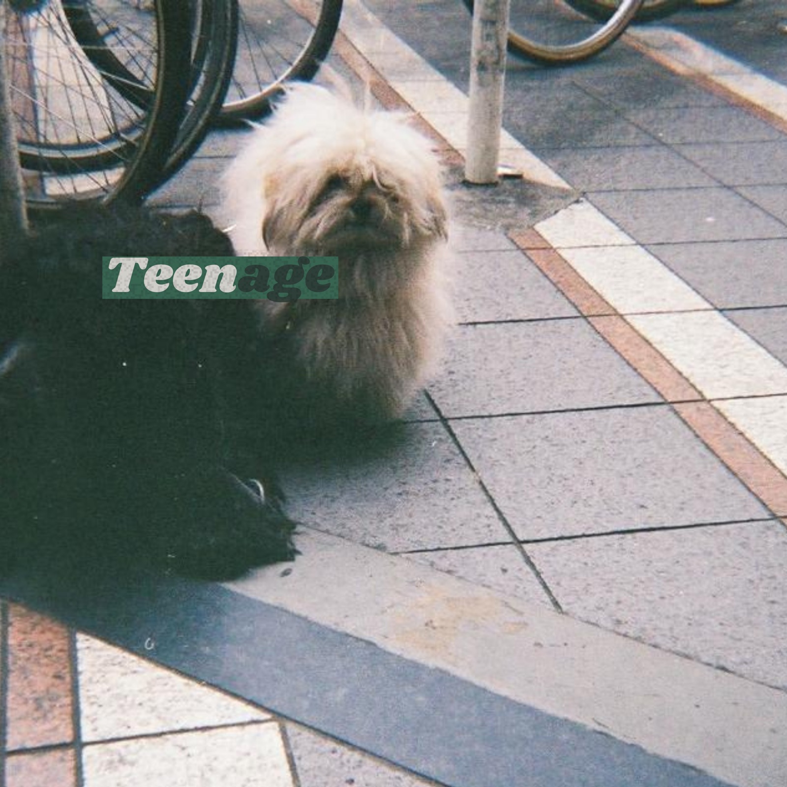 Teenage